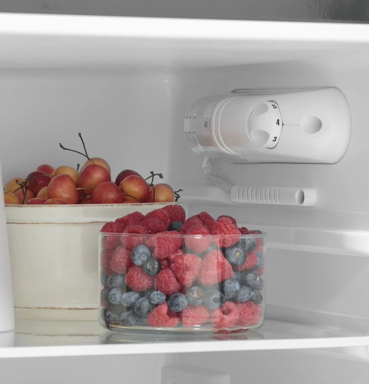 GE Appliances® - 9.8 Cu. Ft. 12 Volt DC Power Top-Freezer Refrigerator - Image 11